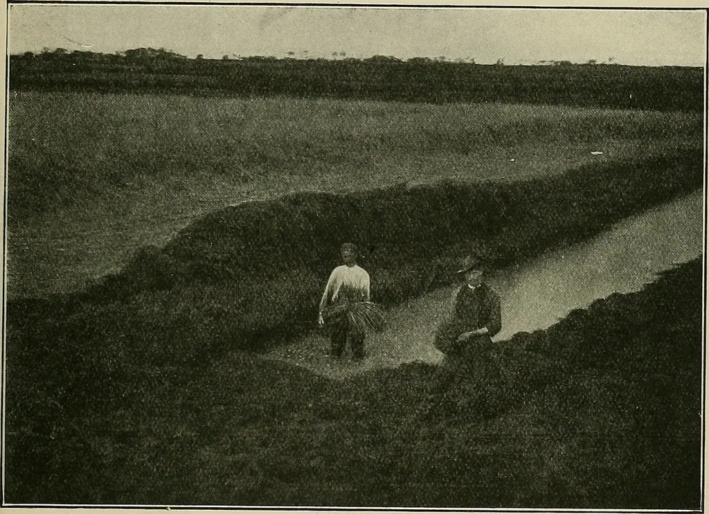 An illustration from Textiles, 1922, leaf 388