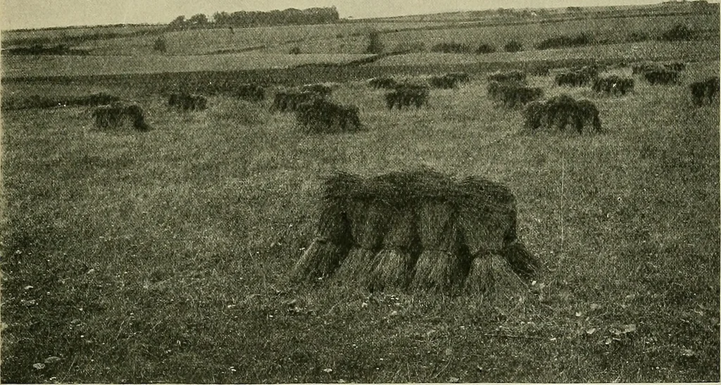 An illustration from Textiles, 1922, leaf 390