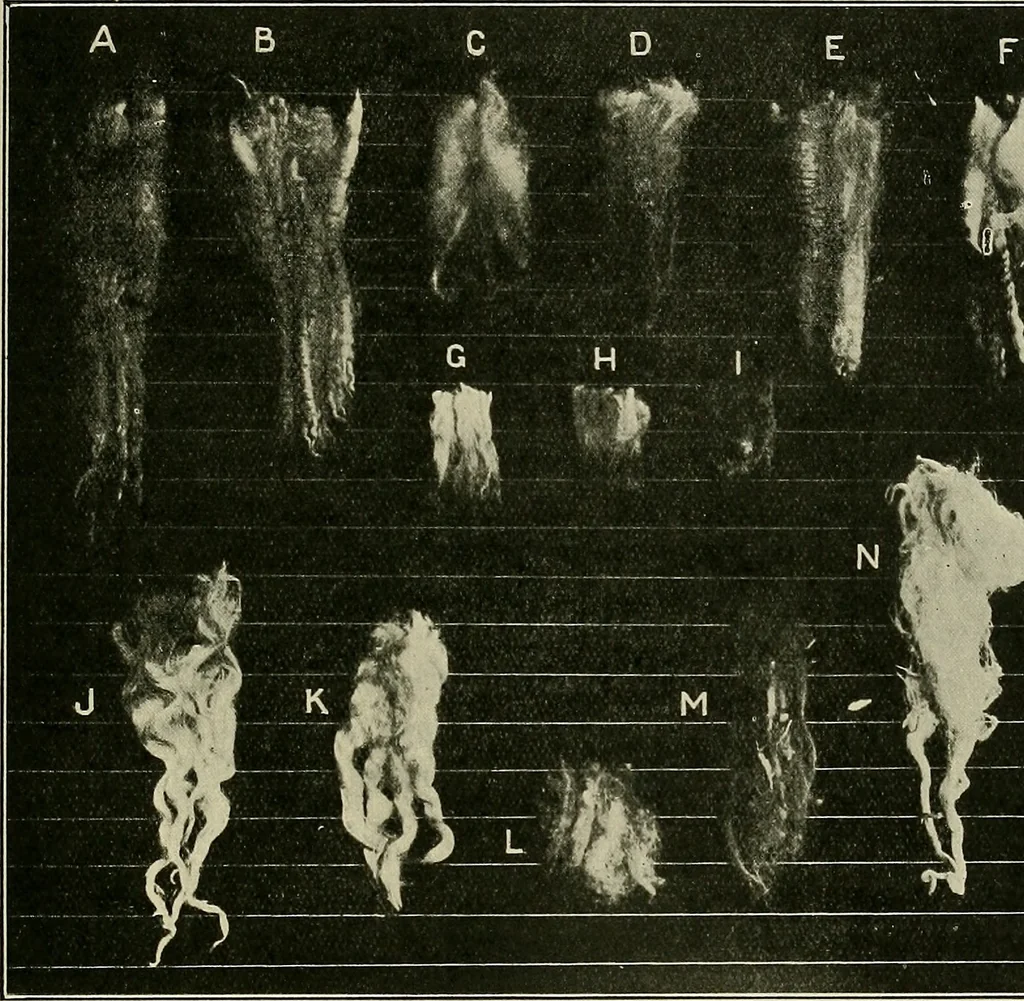 An illustration from Textiles, 1922, leaf 46