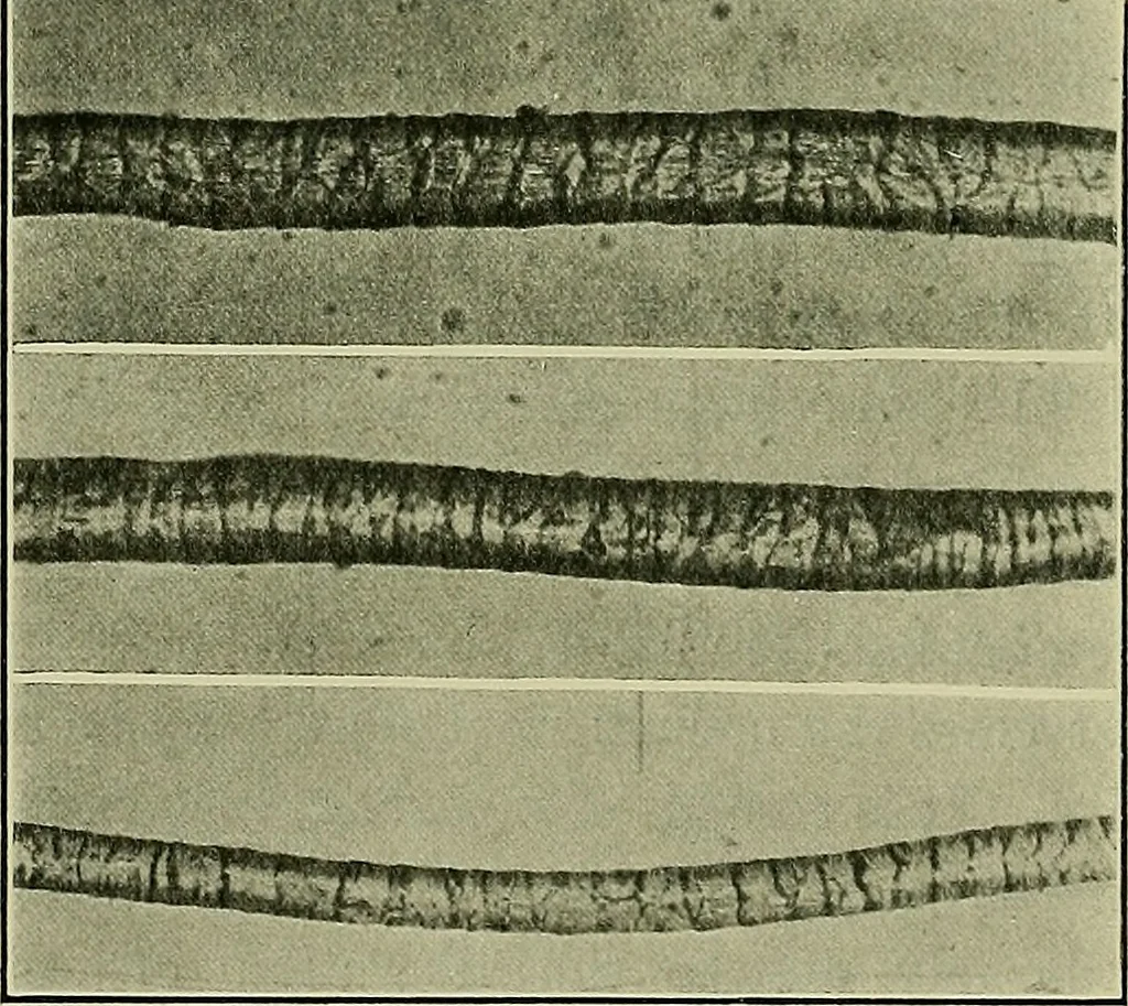 An illustration from Textiles, 1922, leaf 77