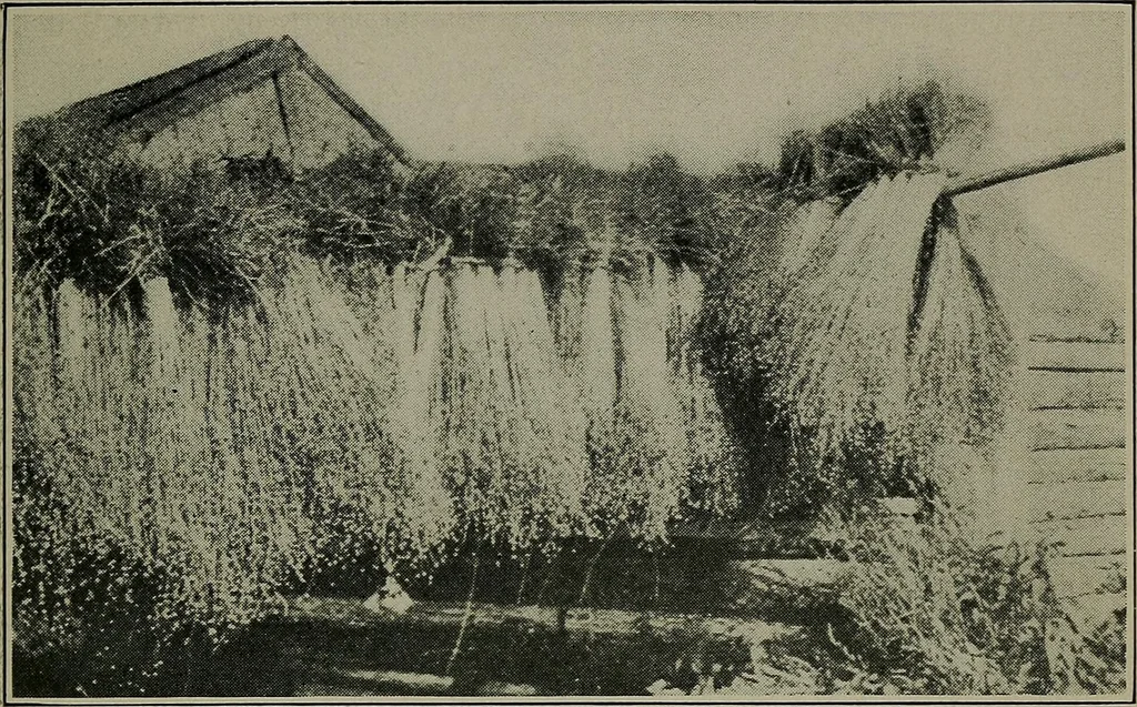 An illustration from Textiles, 1916, leaf 146