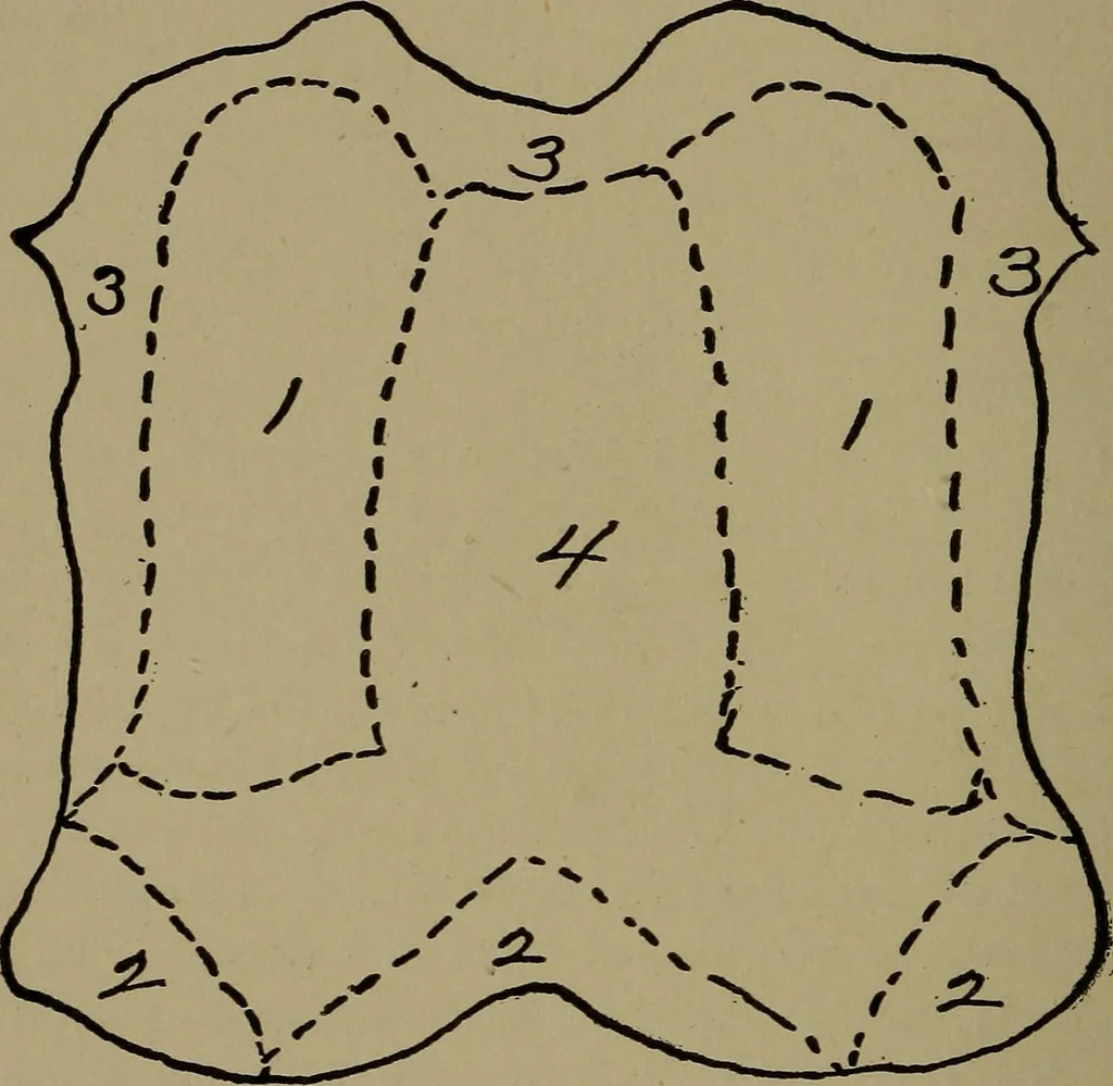 An illustration from Textiles, 1916, leaf 193