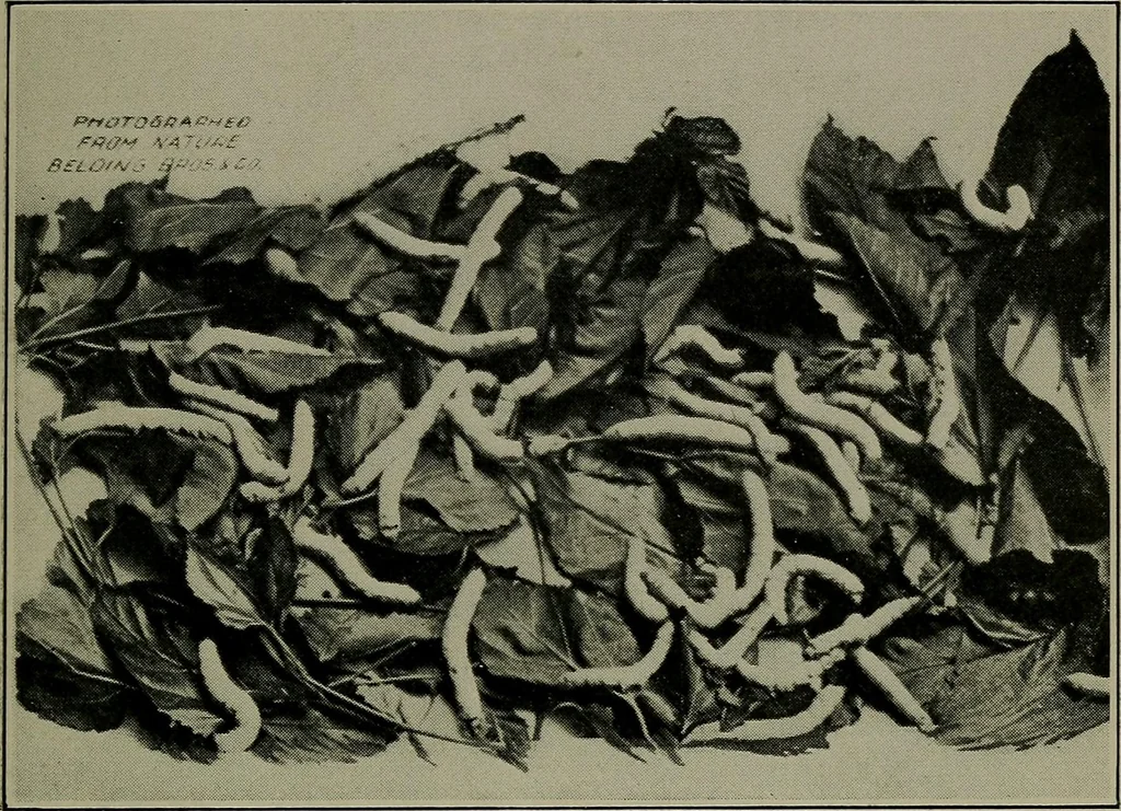 An illustration from Textiles, 1916, leaf 226