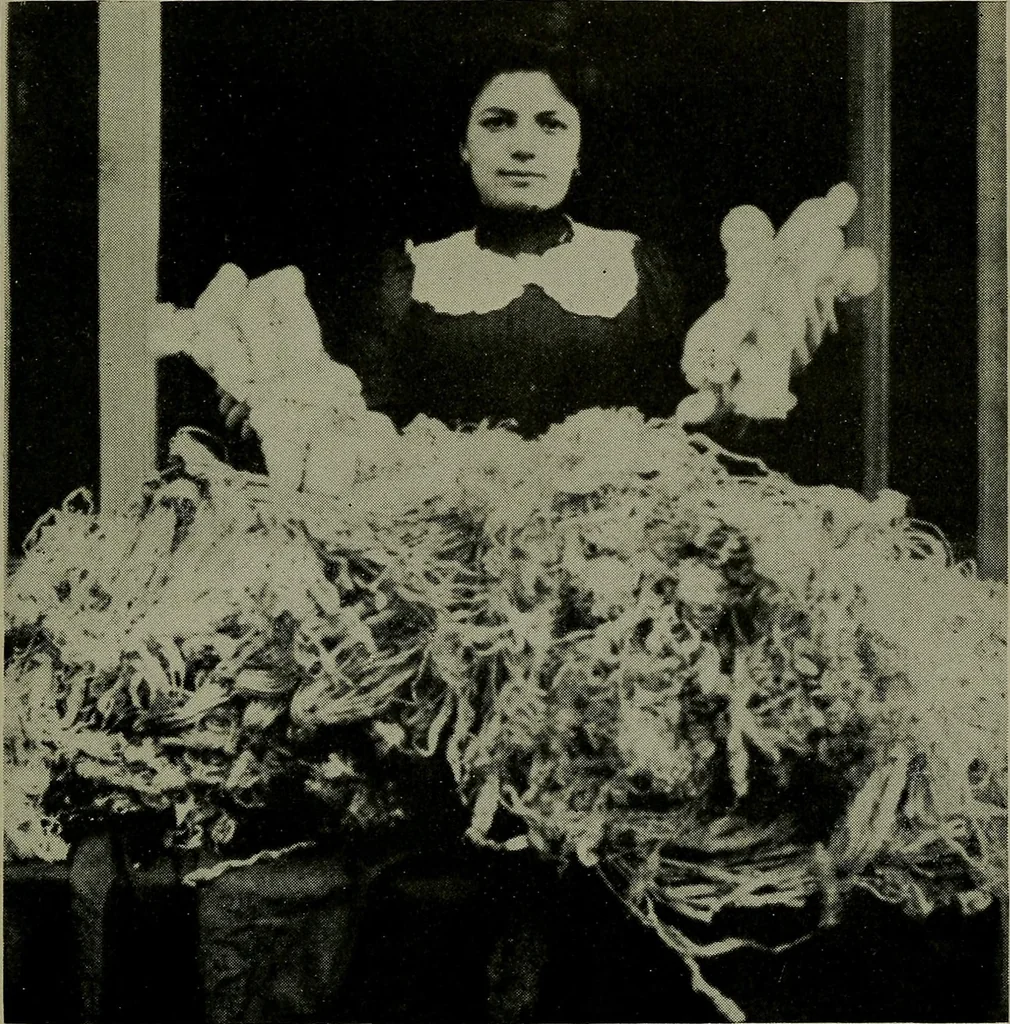 An illustration from Textiles, 1916, leaf 234