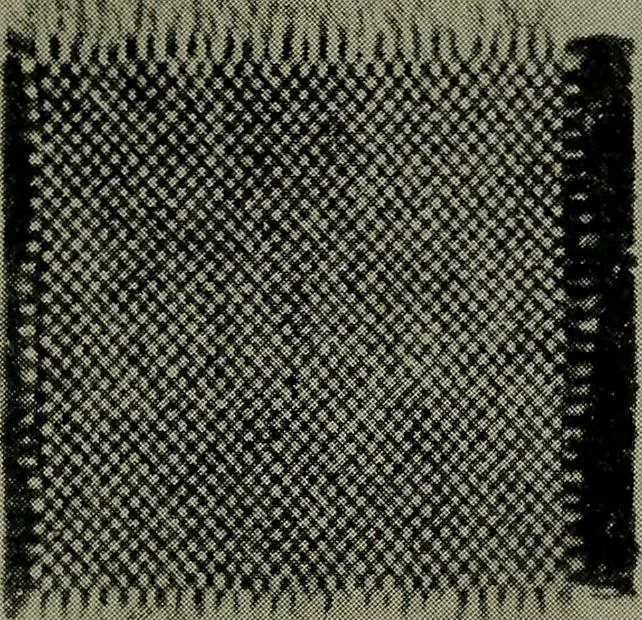 An illustration from Textiles, 1916, leaf 270