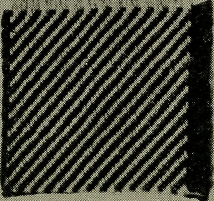 An illustration from Textiles, 1916, leaf 296