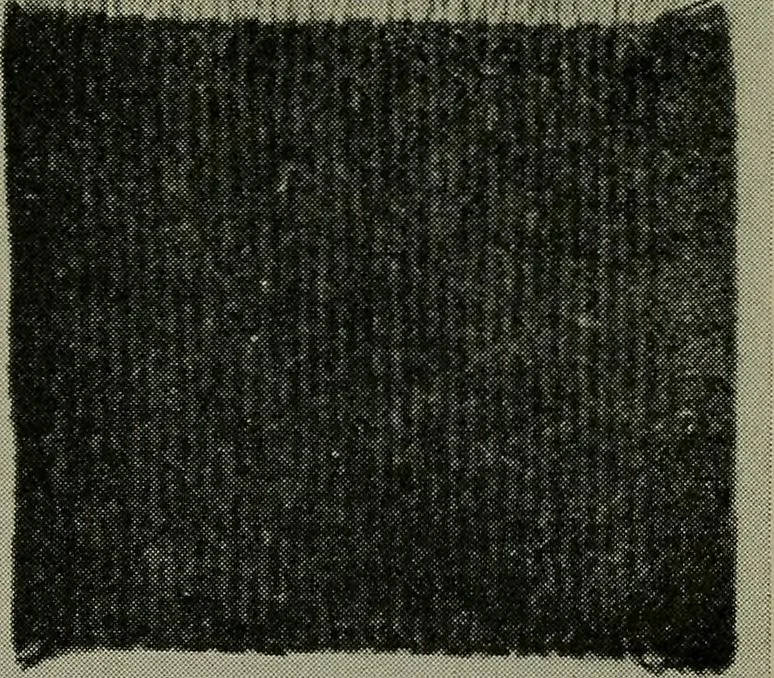 An illustration from Textiles, 1916, leaf 296