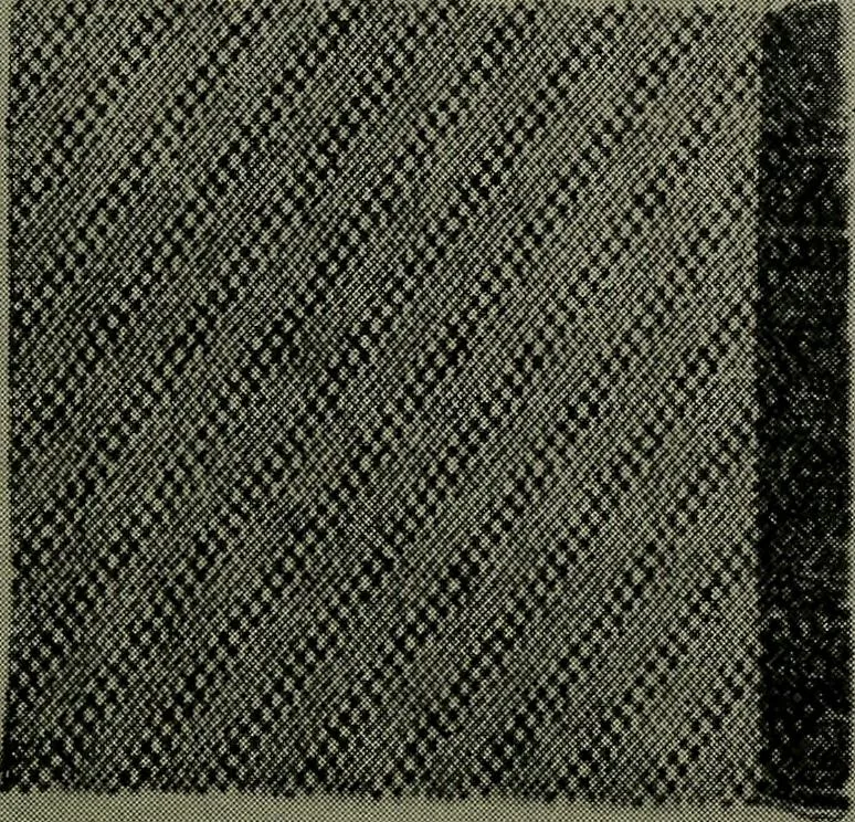 An illustration from Textiles, 1916, leaf 304
