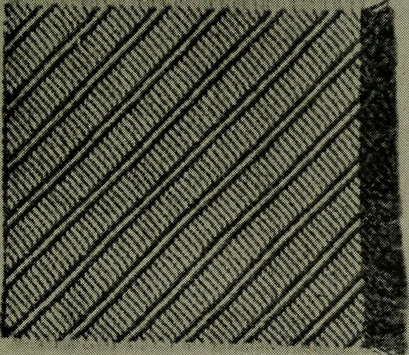 An illustration from Textiles, 1916, leaf 304