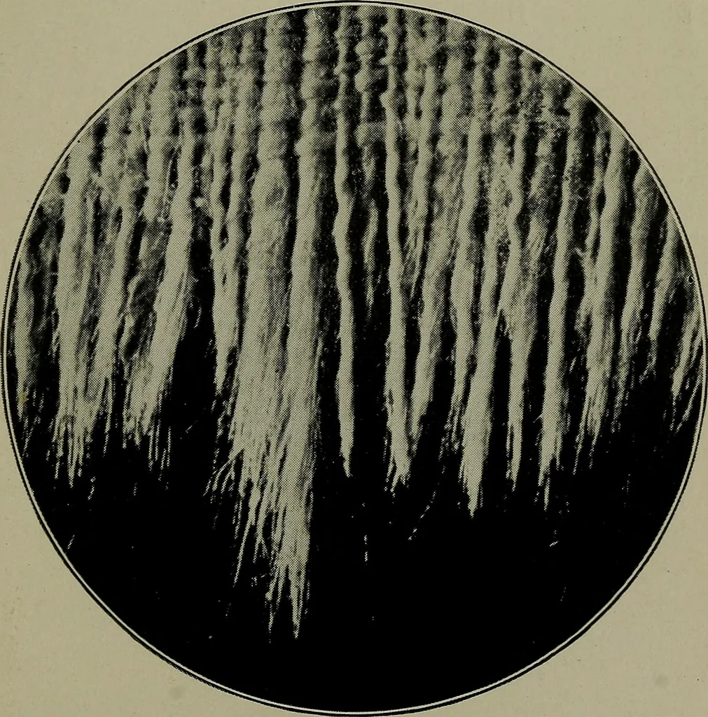 An illustration from Textiles, 1916, leaf 386