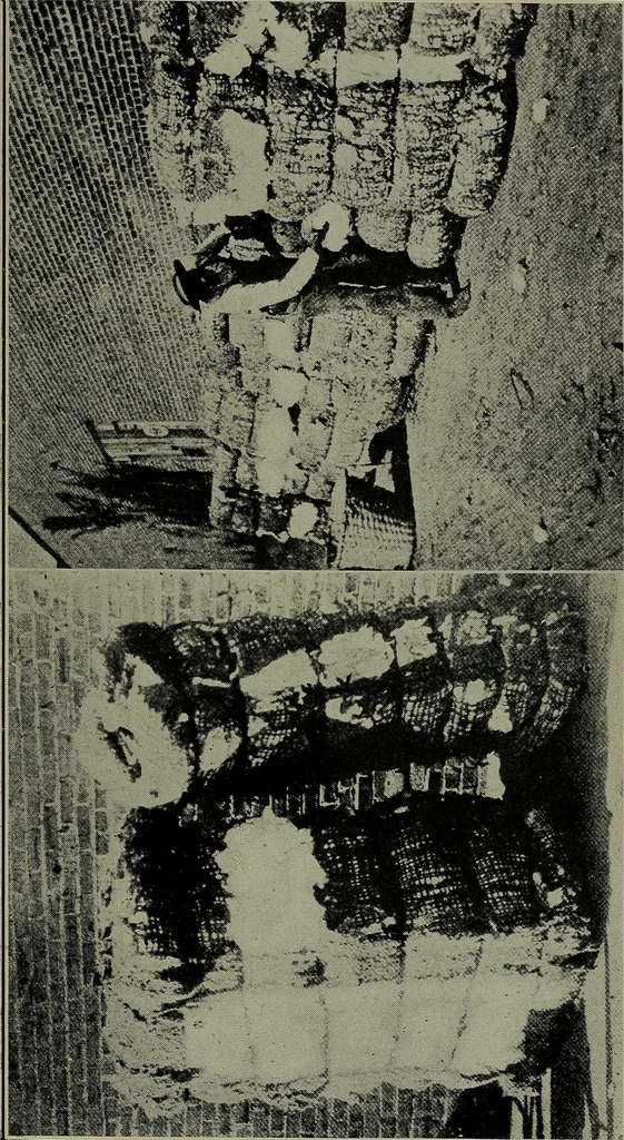 An illustration from Textiles, 1916, leaf 80