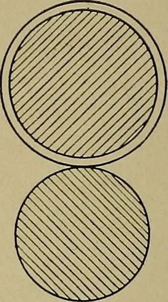 An illustration from Textiles, 1910, leaf 109