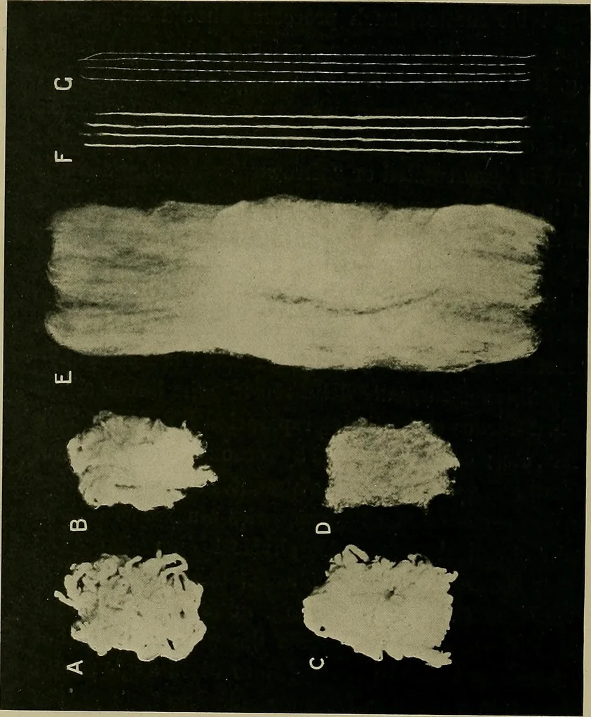 An illustration from Textiles, 1910, leaf 139