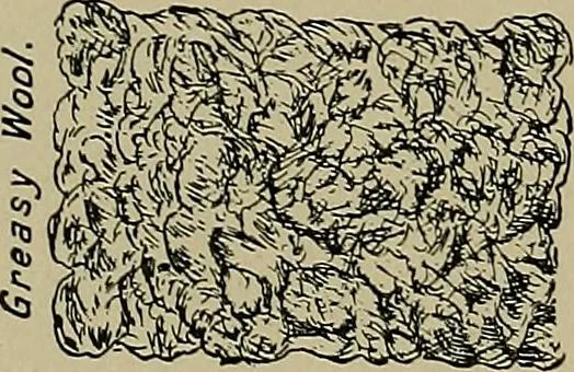 An illustration from Textiles, 1910, leaf 141