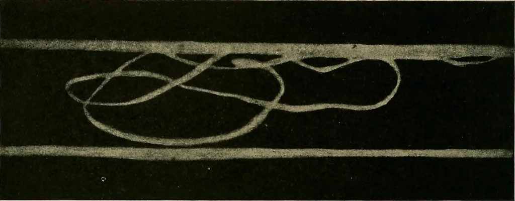 An illustration from Textiles, 1910, leaf 297