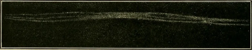 An illustration from Textiles, 1910, leaf 299