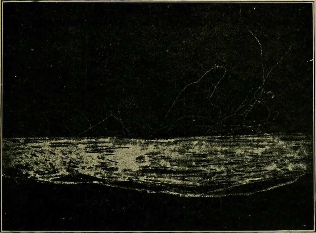 An illustration from Textiles, 1910, leaf 300