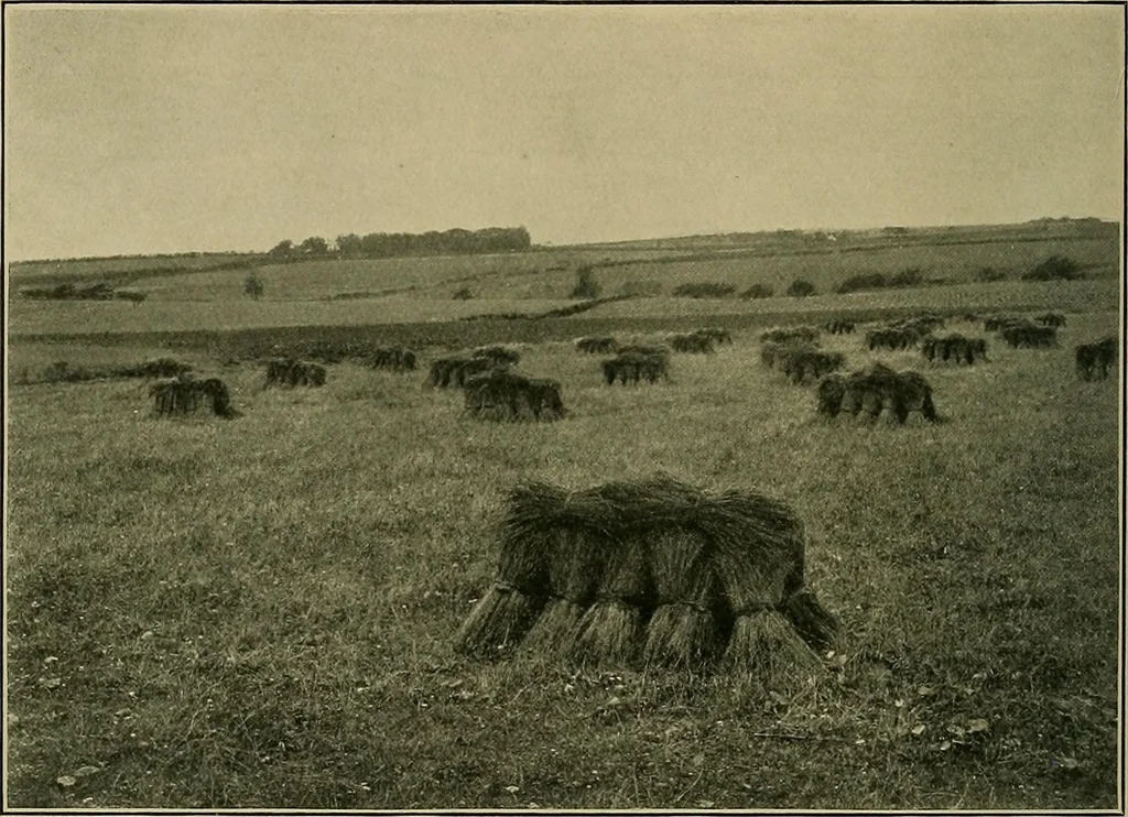 An illustration from Textiles, 1910, leaf 373