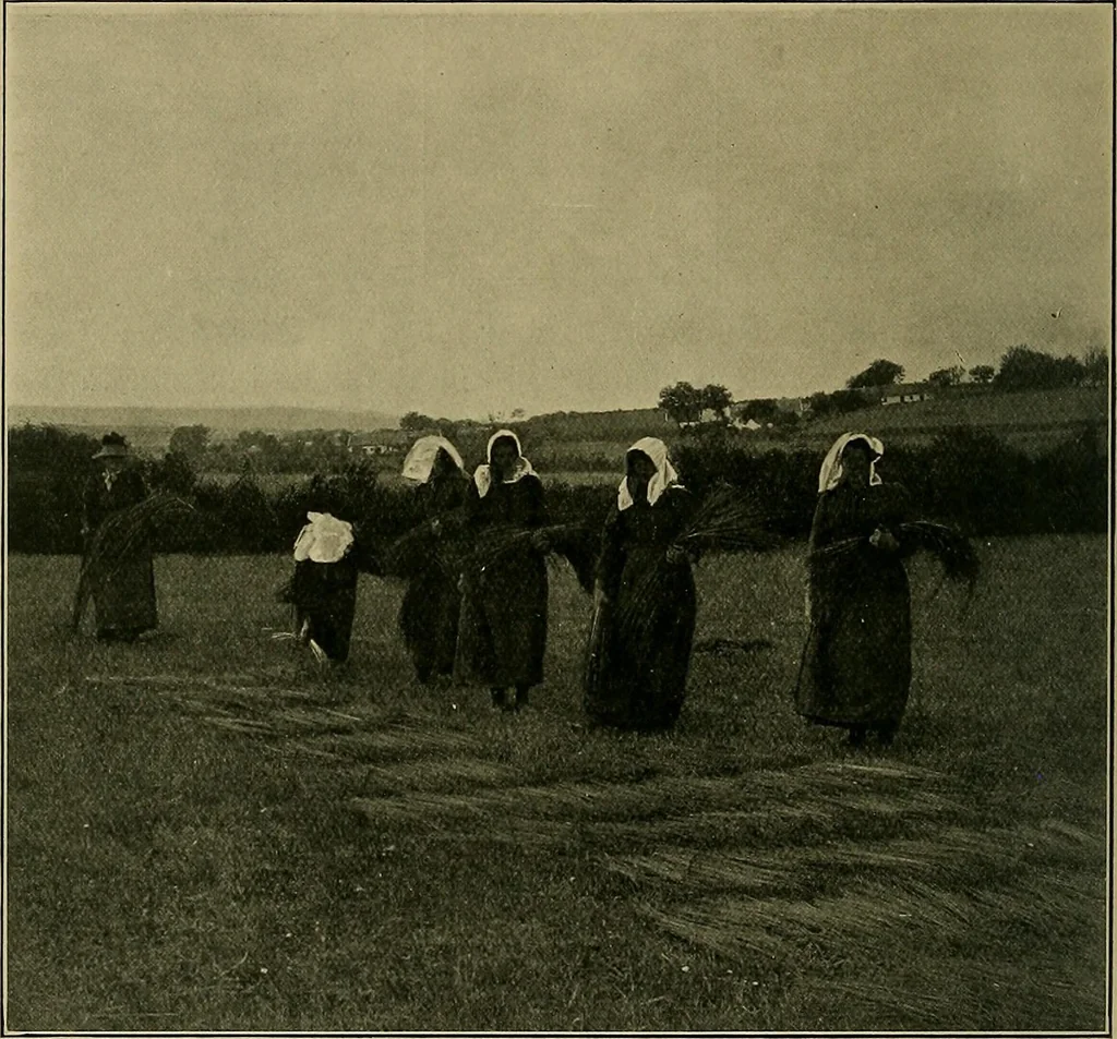 An illustration from Textiles, 1910, leaf 375