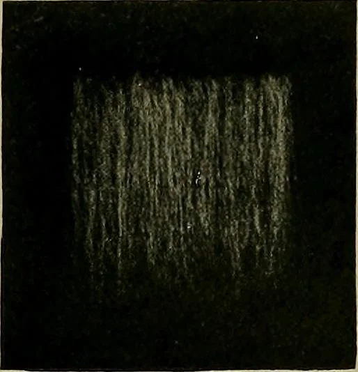 An illustration from Textiles, 1910, leaf 56