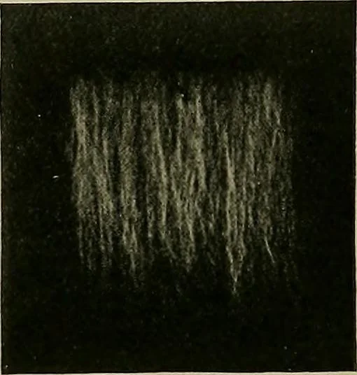 An illustration from Textiles, 1910, leaf 57