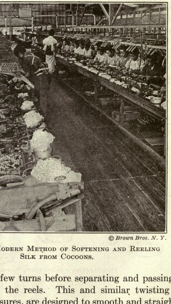 An illustration from Textiles and clothing, 1919, leaf 178