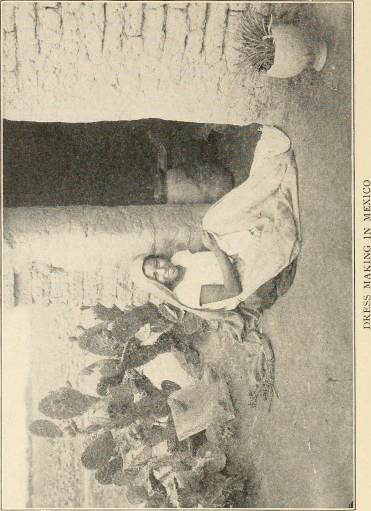 An illustration from Textiles and clothing, by Kate Heintz Watson.., 1907, leaf 11