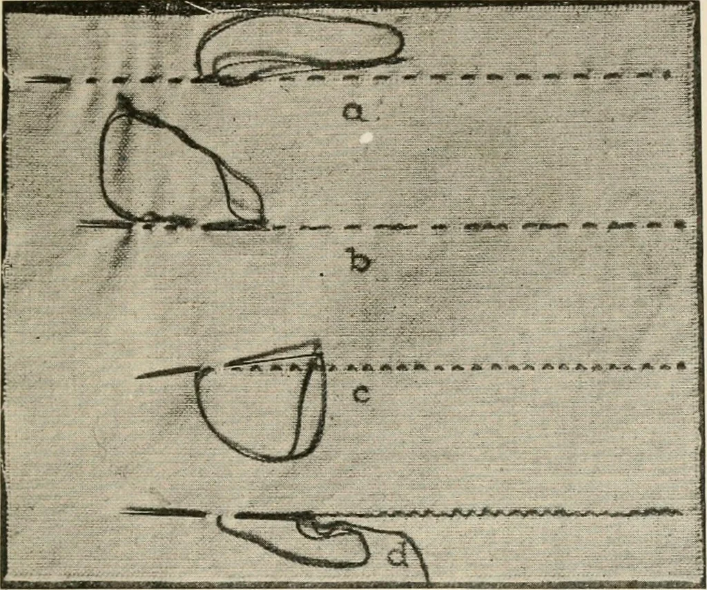 An illustration from Textiles and clothing, by Kate Heintz Watson.., 1907, leaf 132