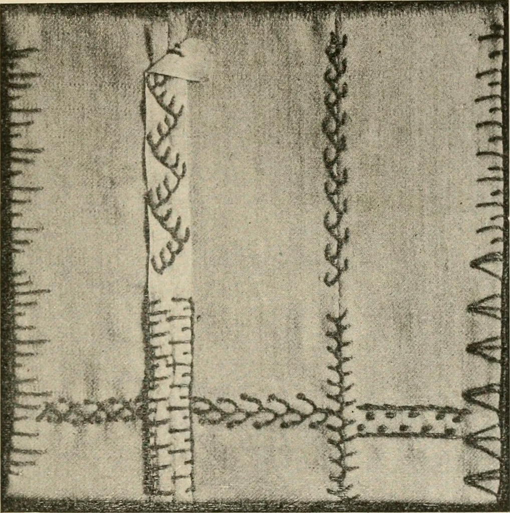 An illustration from Textiles and clothing, by Kate Heintz Watson.., 1907, leaf 152