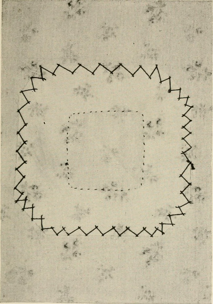 An illustration from Textiles and clothing, by Kate Heintz Watson.., 1907, leaf 170