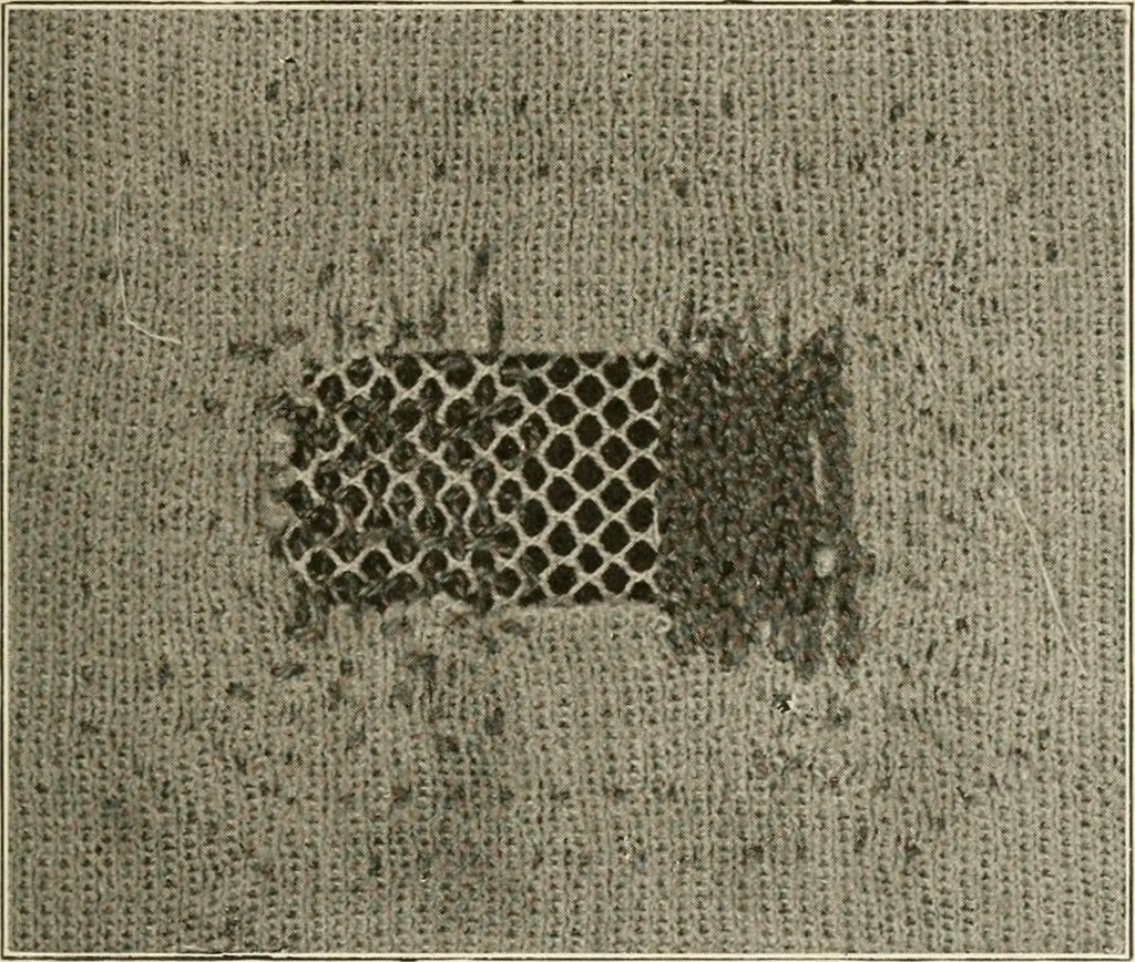 An illustration from Textiles and clothing, by Kate Heintz Watson.., 1907, leaf 176