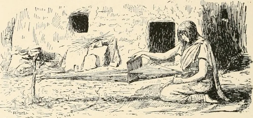 An illustration from Textiles and clothing, by Kate Heintz Watson.., 1907, leaf 29