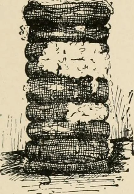 An illustration from Textiles and clothing, by Kate Heintz Watson.., 1907, leaf 50