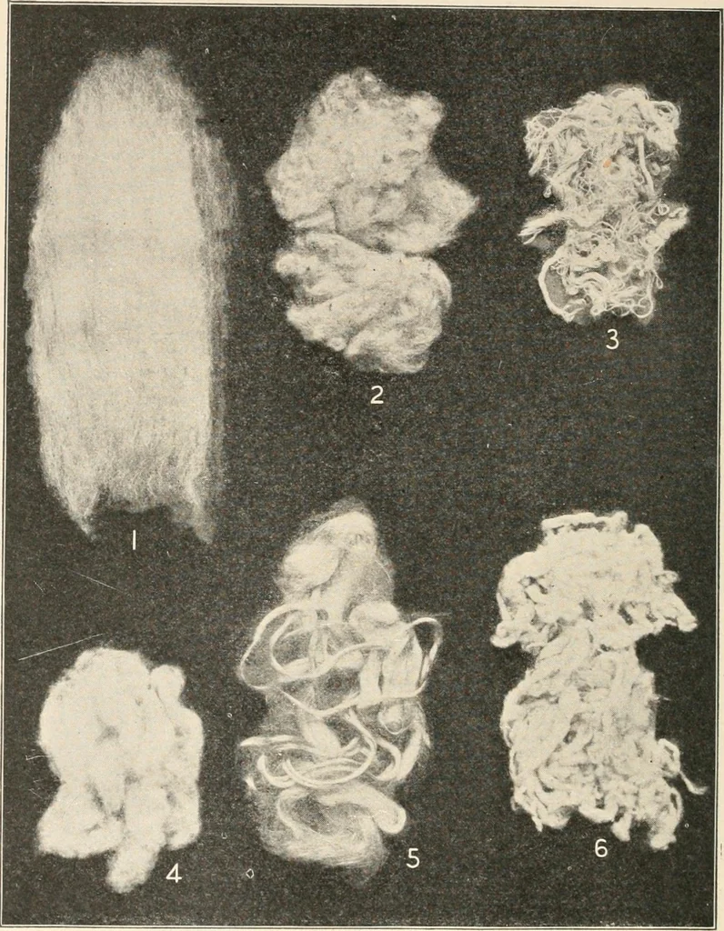 An illustration from Textiles and clothing, by Kate Heintz Watson.., 1907, leaf 51
