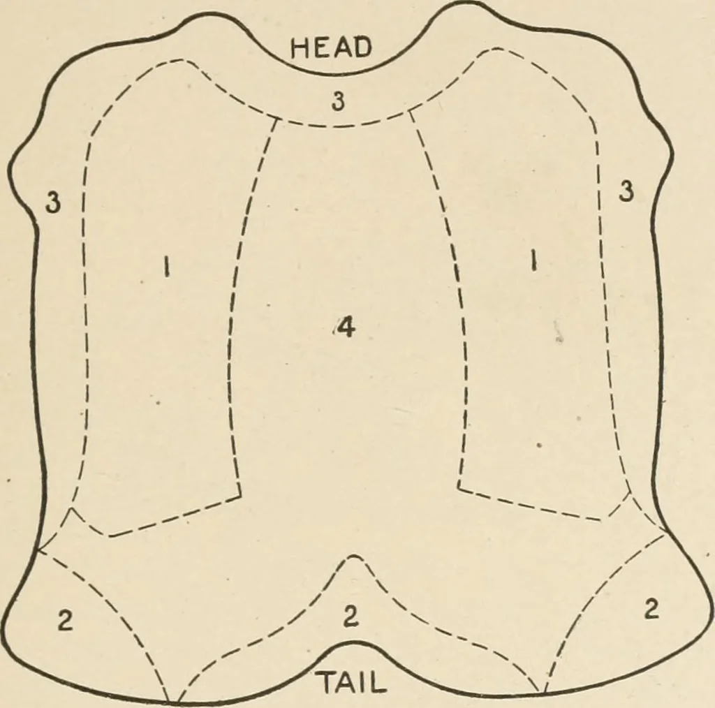 An illustration from Textiles and clothing, by Kate Heintz Watson.., 1907, leaf 56