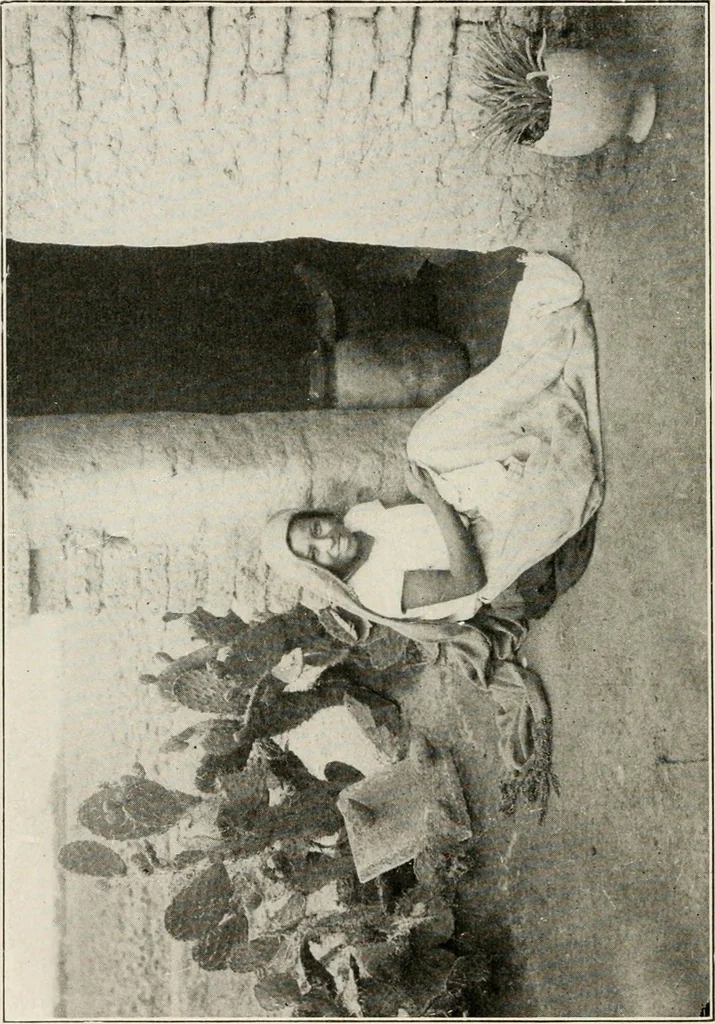 An illustration from Textiles and clothing, by Kate Heintz Watson, 1914, leaf 11