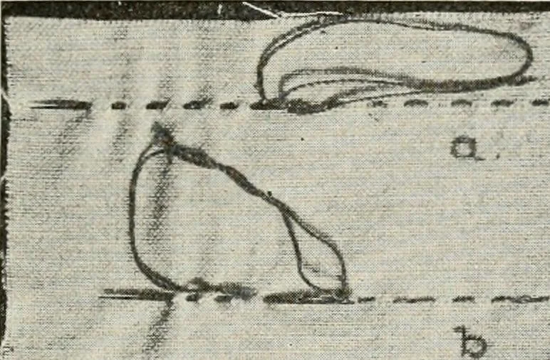 An illustration from Textiles and clothing, by Kate Heintz Watson, 1914, leaf 132