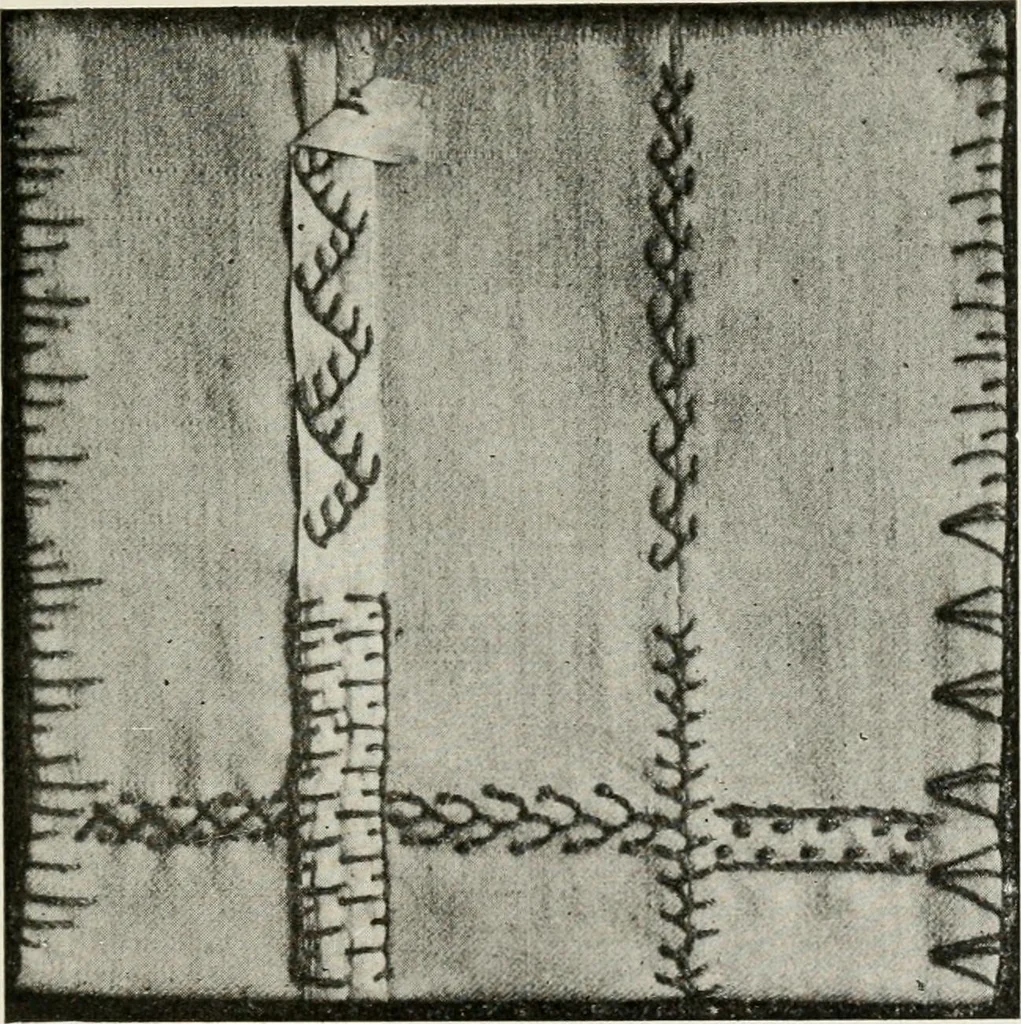 An illustration from Textiles and clothing, by Kate Heintz Watson, 1914, leaf 152