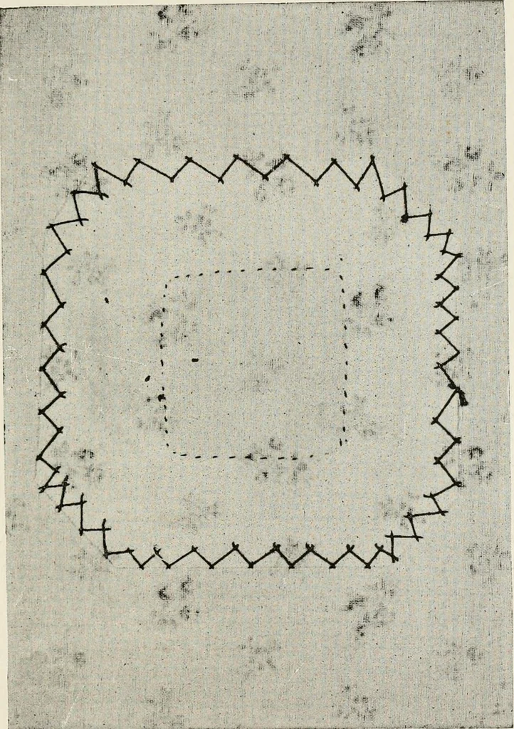 An illustration from Textiles and clothing, by Kate Heintz Watson, 1914, leaf 170