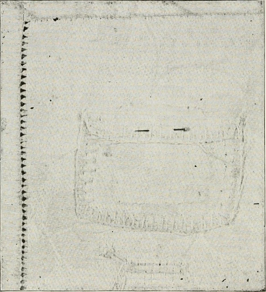 An illustration from Textiles and clothing, by Kate Heintz Watson, 1914, leaf 171