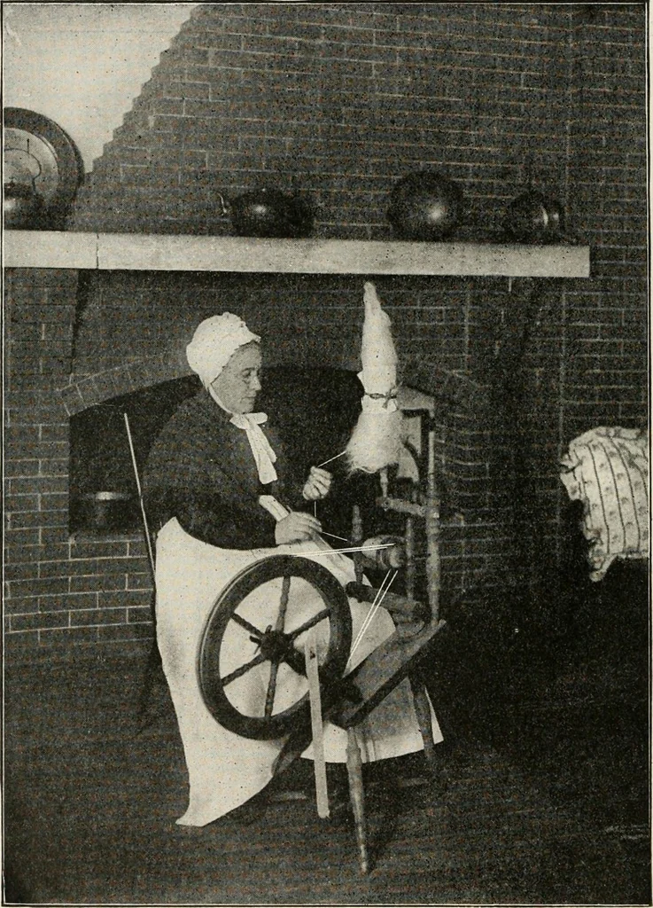An illustration from Textiles and clothing, by Kate Heintz Watson, 1914, leaf 25
