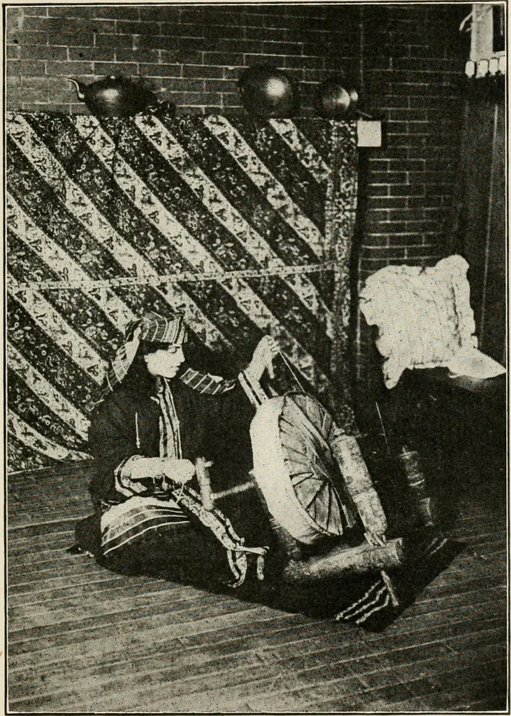 An illustration from Textiles and clothing, by Kate Heintz Watson, 1914, leaf 28