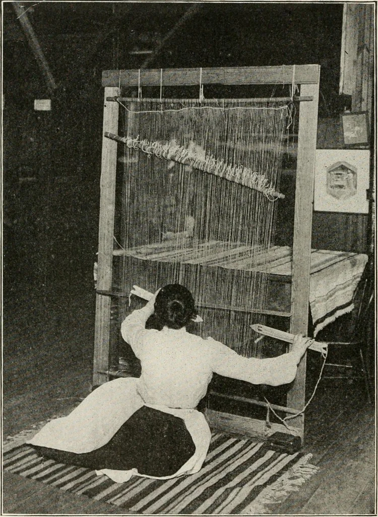 An illustration from Textiles and clothing, by Kate Heintz Watson, 1914, leaf 33