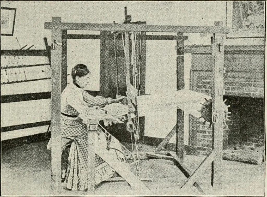 An illustration from Textiles and clothing, by Kate Heintz Watson, 1914, leaf 34