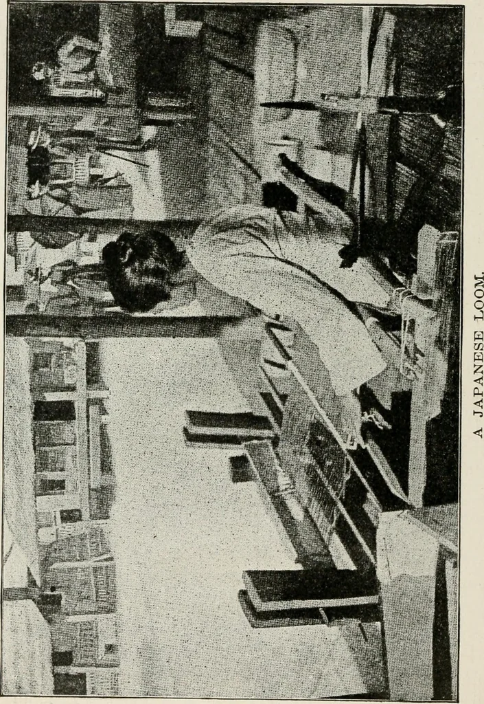 An illustration from Textiles and clothing, by Kate Heintz Watson, 1914, leaf 35