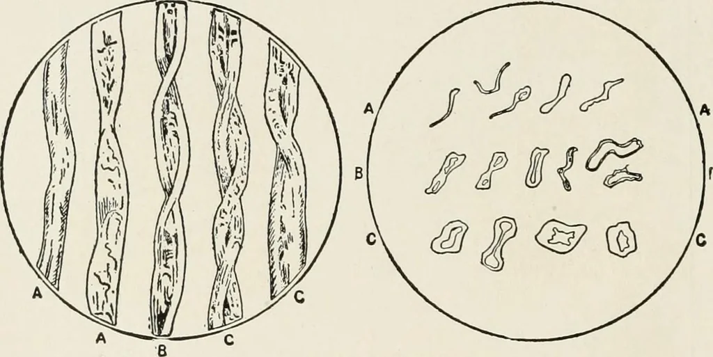 An illustration from Textiles and clothing, by Kate Heintz Watson, 1914, leaf 49