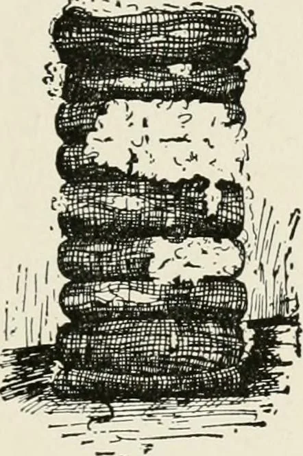 An illustration from Textiles and clothing, by Kate Heintz Watson, 1914, leaf 50