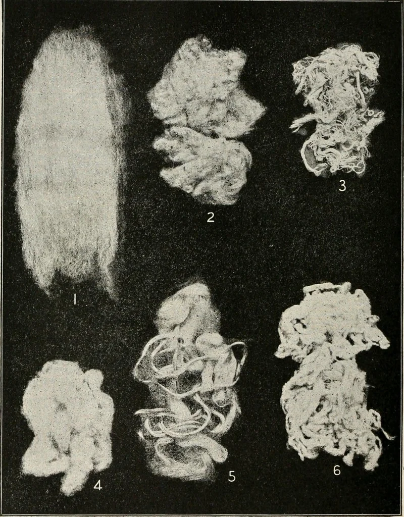 An illustration from Textiles and clothing, by Kate Heintz Watson, 1914, leaf 51