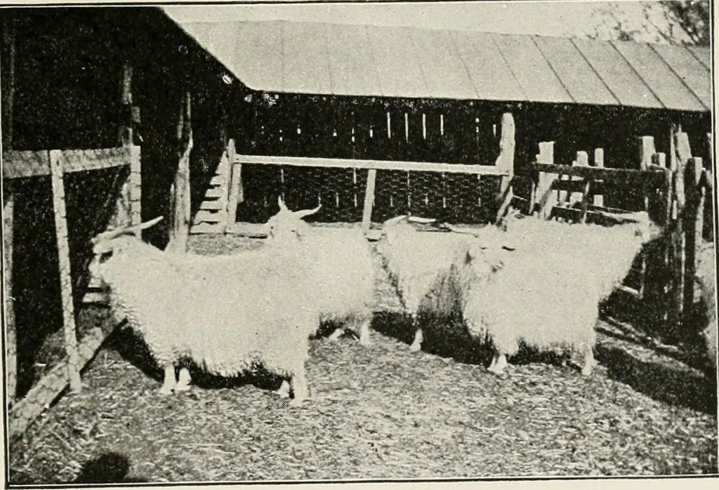 An illustration from Textiles and clothing, by Kate Heintz Watson, 1914, leaf 54