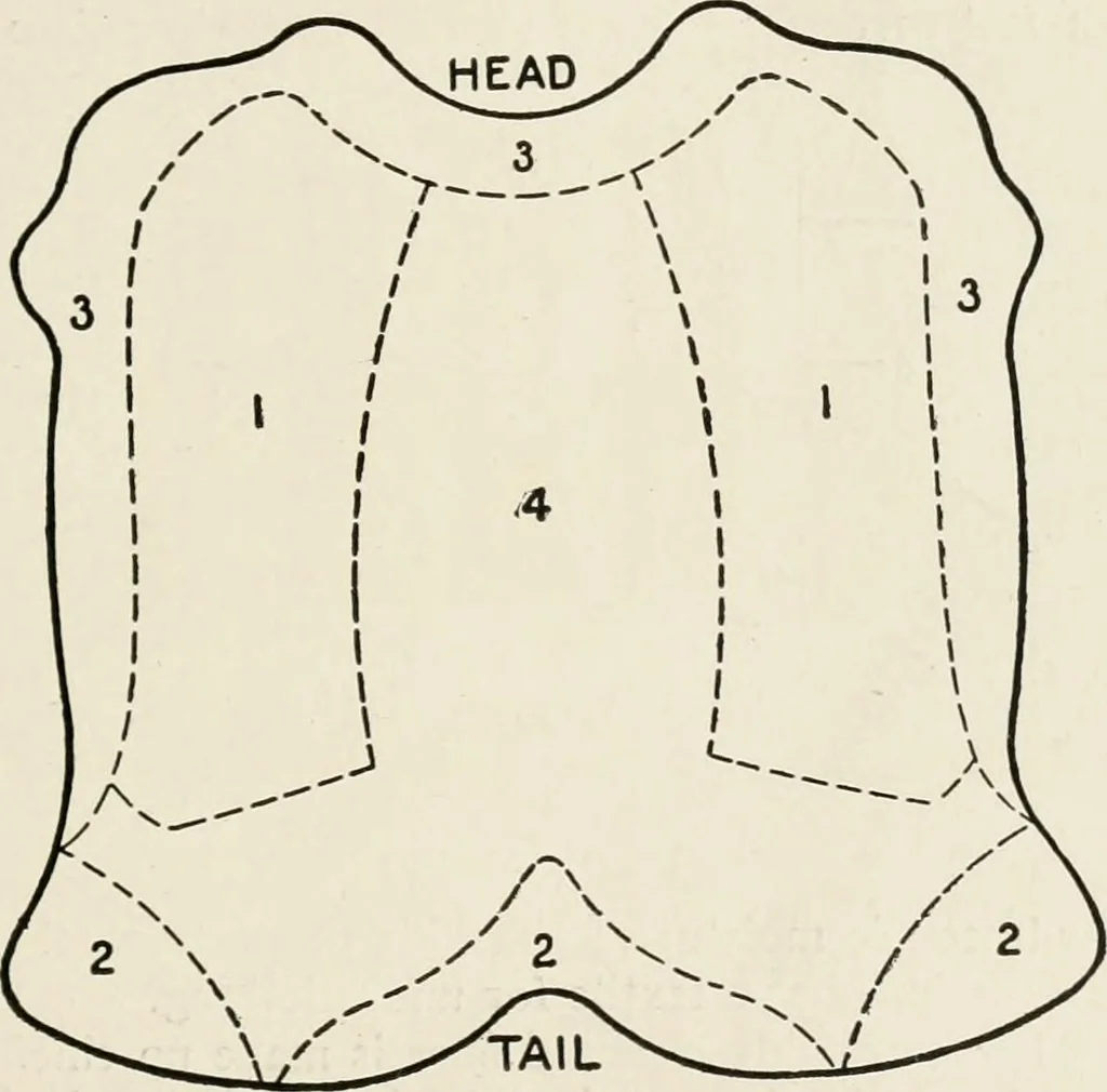 An illustration from Textiles and clothing, by Kate Heintz Watson, 1914, leaf 56